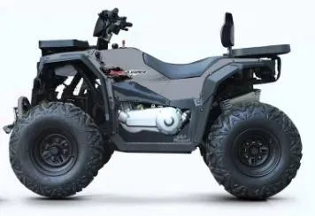 Квадроцикл Progasi RaceJumper MaxPower 200 