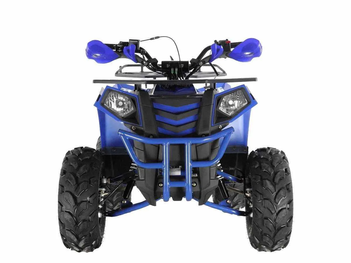 Квадроцикл Wels Thunder EVO