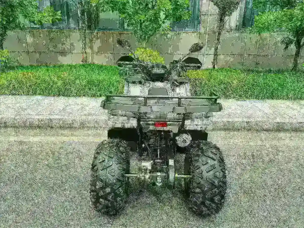 Квадроцикл MOTAX Grizlik T 200