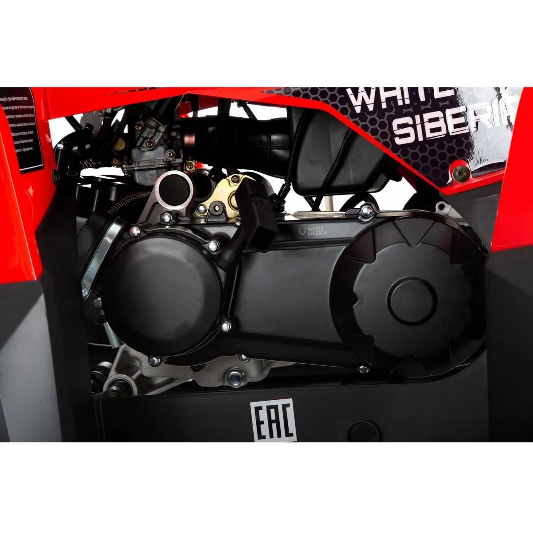 Бензиновый квадроцикл WHITE SIBERIA BARS 200CC PRO