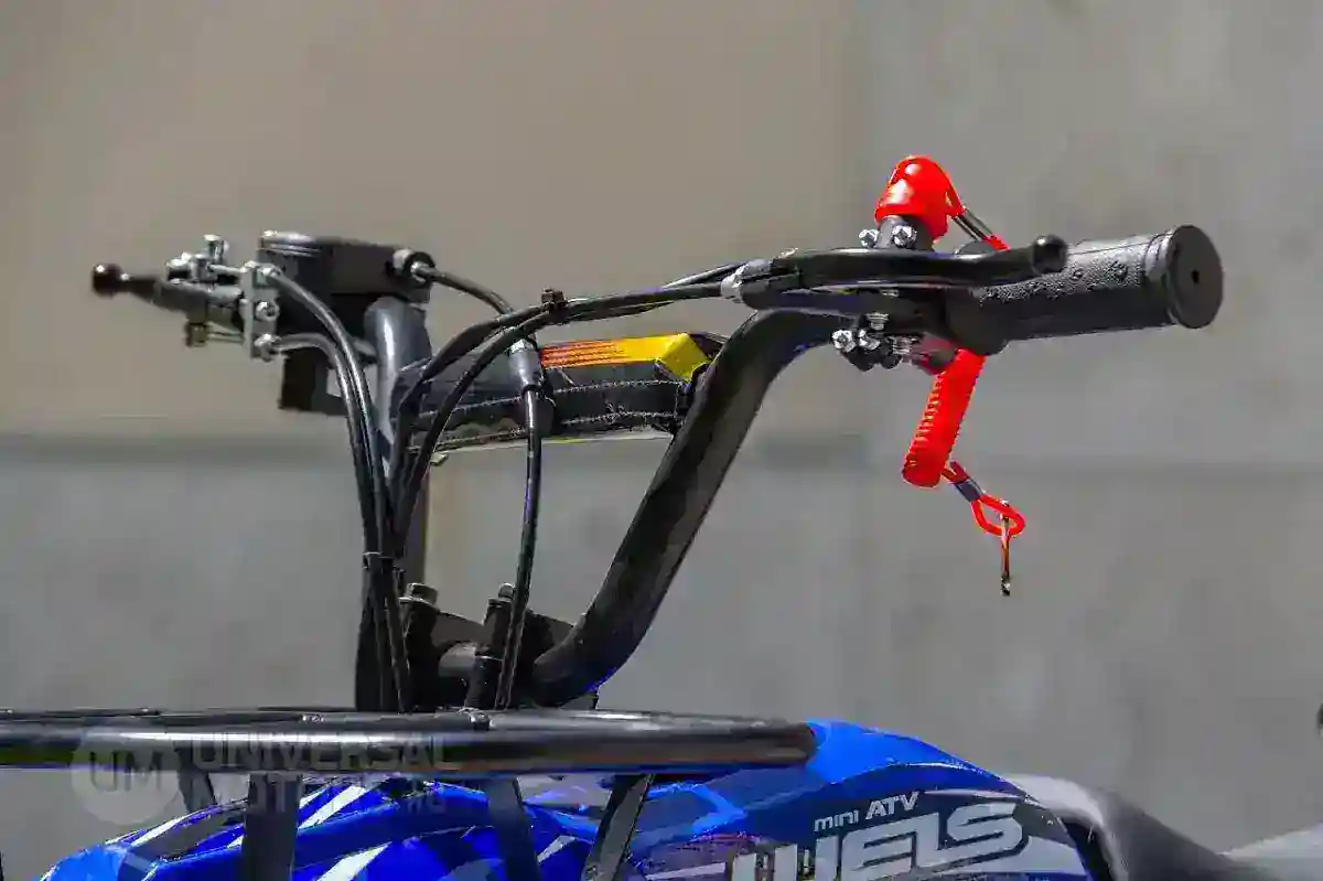 Квадроцикл WELS ATV THUNDER MINI 2T