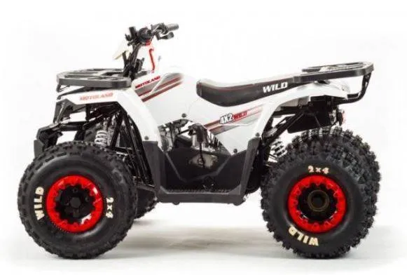 Квадроцикл Motoland 125 WILD (2020 г.)