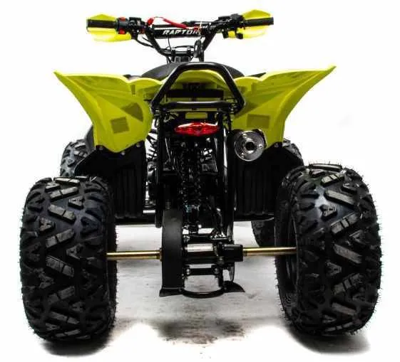 Квадроцикл Motoland 125 RAPTOR A