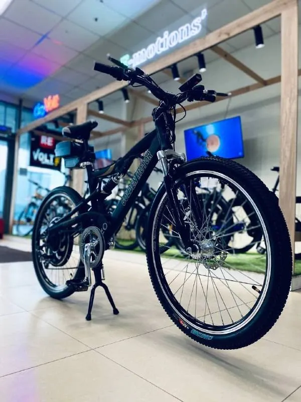 Электровелосипед E-motions Golden Motor 1000W