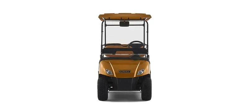 Гольф кар EWAY HM2+2
