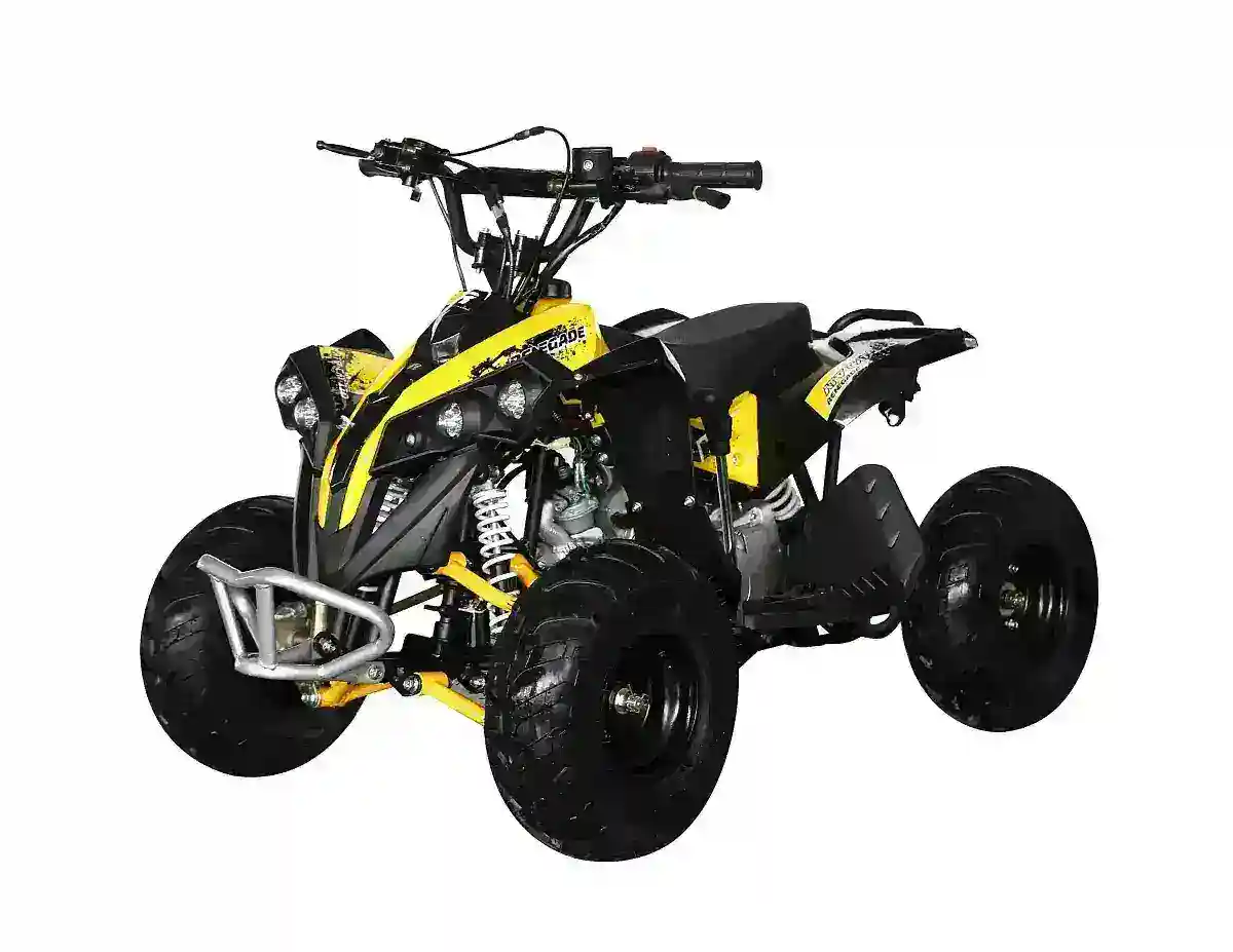 Электроквадроцикл Motax ATV CAT 1000W