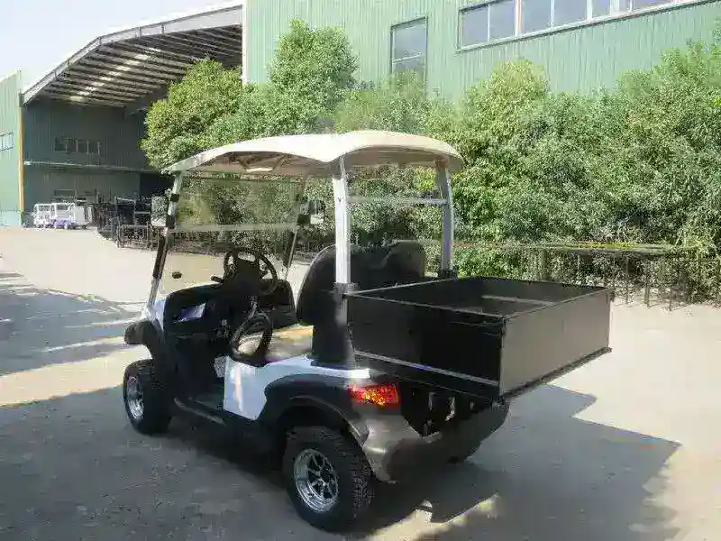 ГОЛЬФКАР Voltus CLUB 2M CARGO