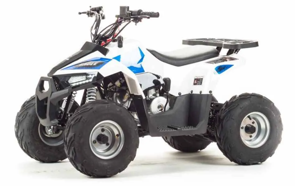 Квадроцикл Motoland 110 EAGLE (2020 г.)