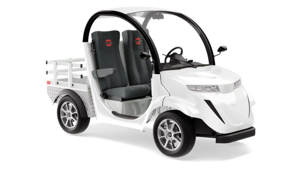 Гольфкар Elecar 5E-TIGARBO 2G