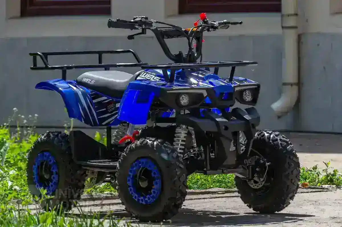 Квадроцикл WELS ATV THUNDER MINI 2T