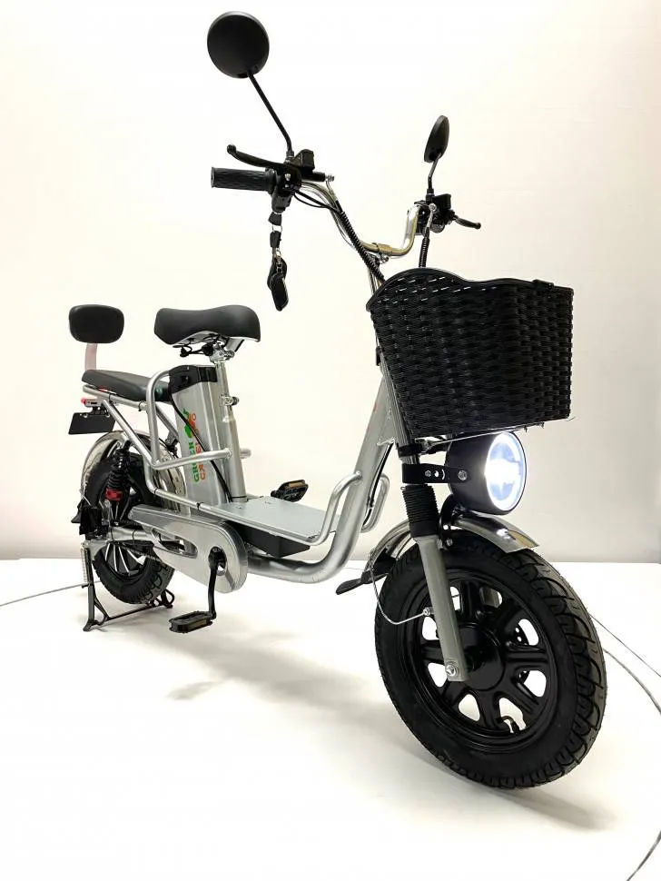Электровелосипед Green Camel Транк Монстр PRO (R16FAT 500W 60V20Ah) гидравлика