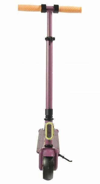 Электросамокат Accesstyle Panda 13S