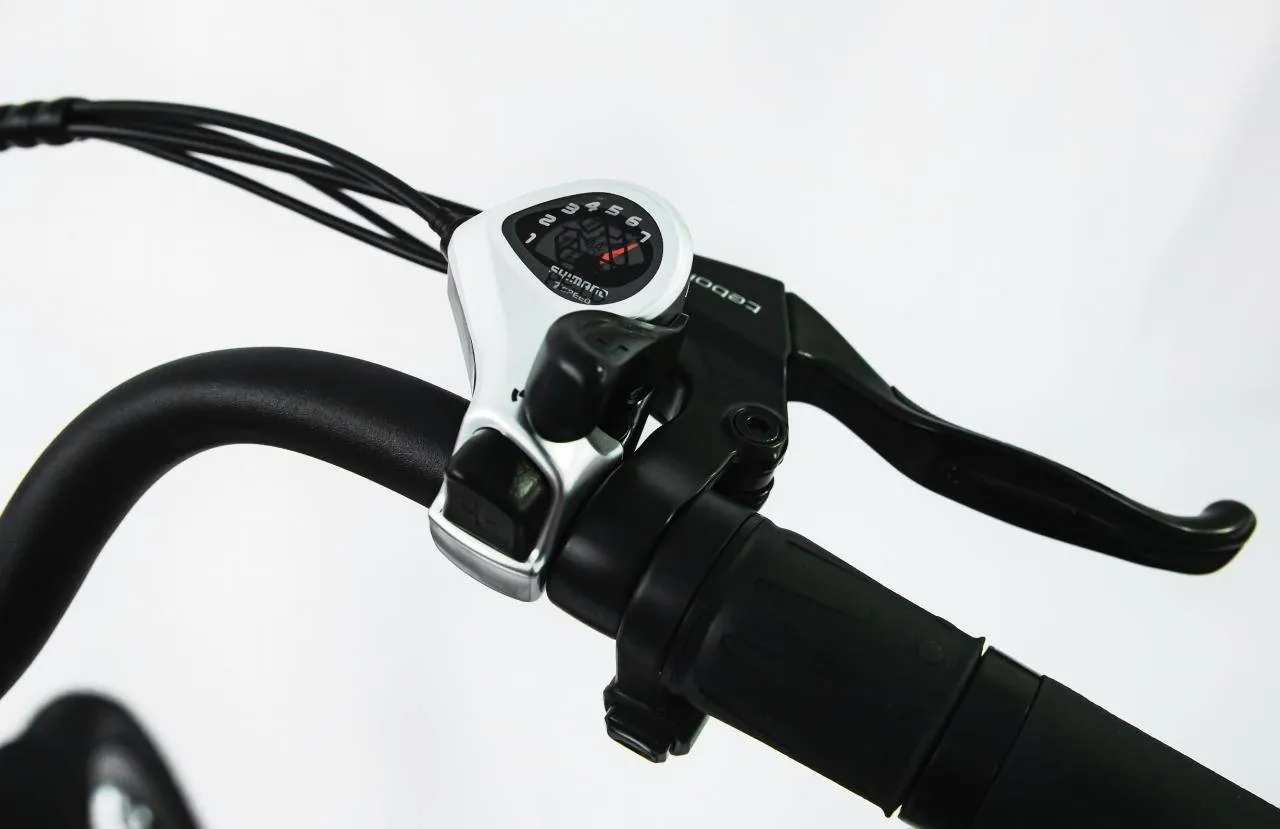 Электровелосипед Elbike Galant Big Vip 13