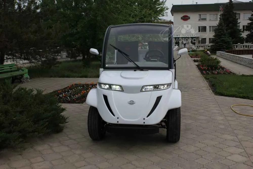 Гольфкар Elecar 5E-TIGARBO 2G