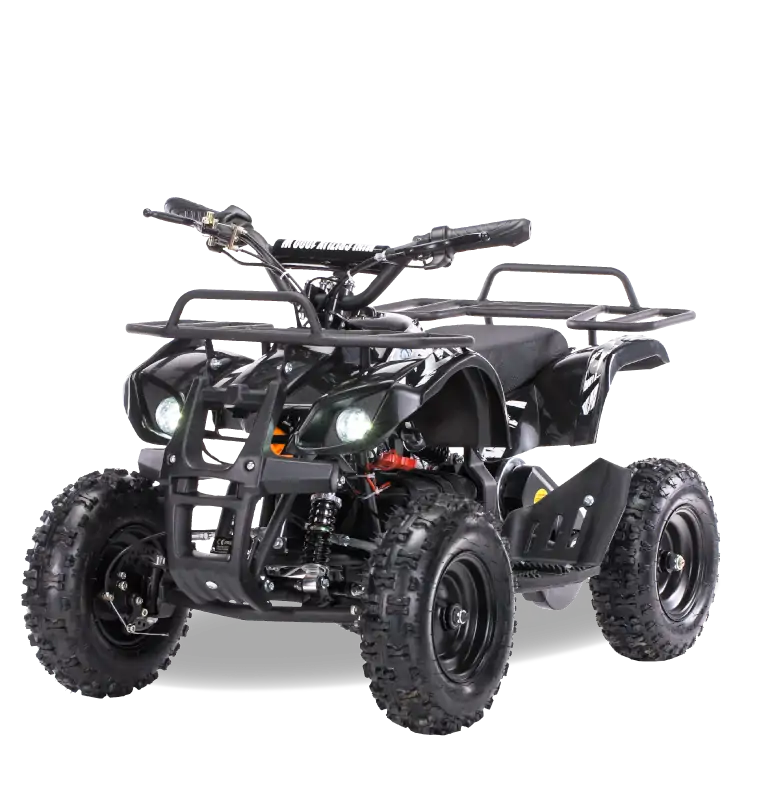 Электроквадроцикл MOTAX Mini Grizlik X-16 1000W