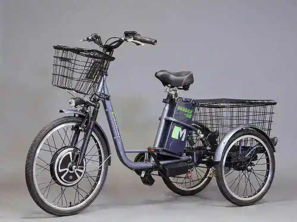 Трехколесный электровелосипед E-motions KANGOO-RU 700