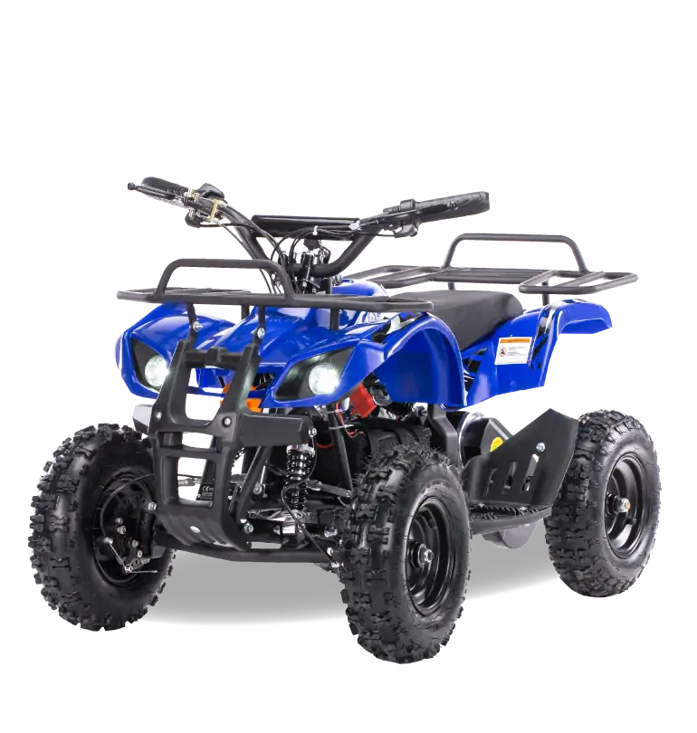Электроквадроцикл MOTAX Mini Grizlik X-16 1000W