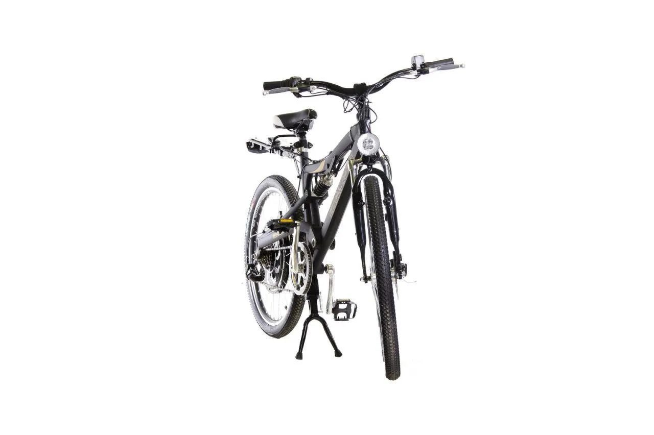 Электровелосипед E-motions Golden Motor 1000W