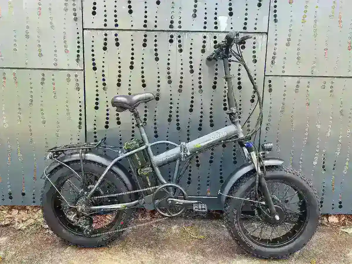 Электровелосипед OxyVolt FAT 20 double 2 GW