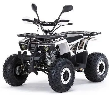 Квадроцикл MOTAX ATV Grizlik Premium 125cc