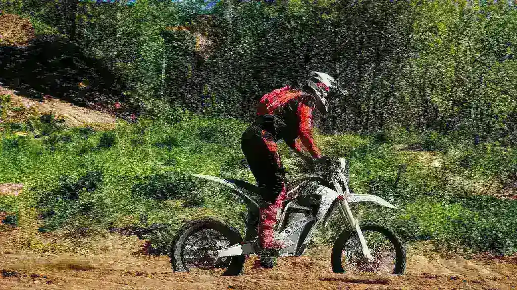 Электромотоцикл E-motions DWX 250
