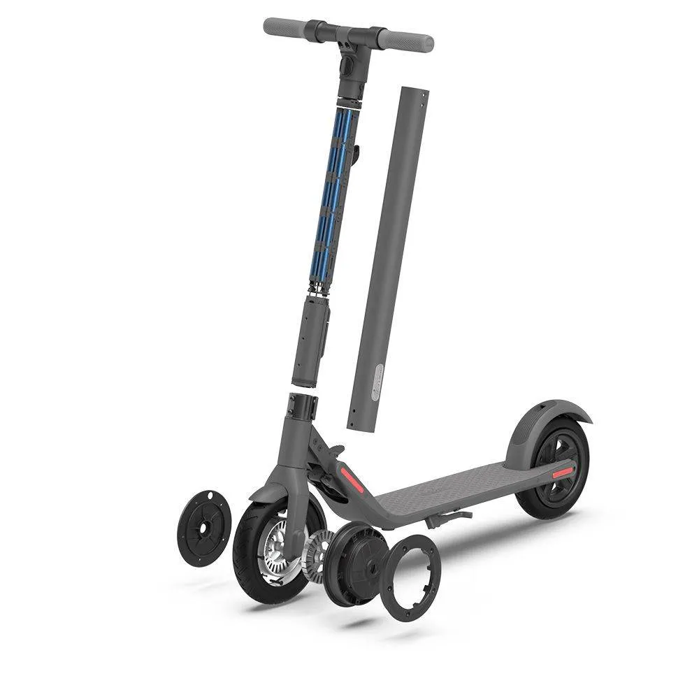 Электросамокат Ninebot KickScooter E22
