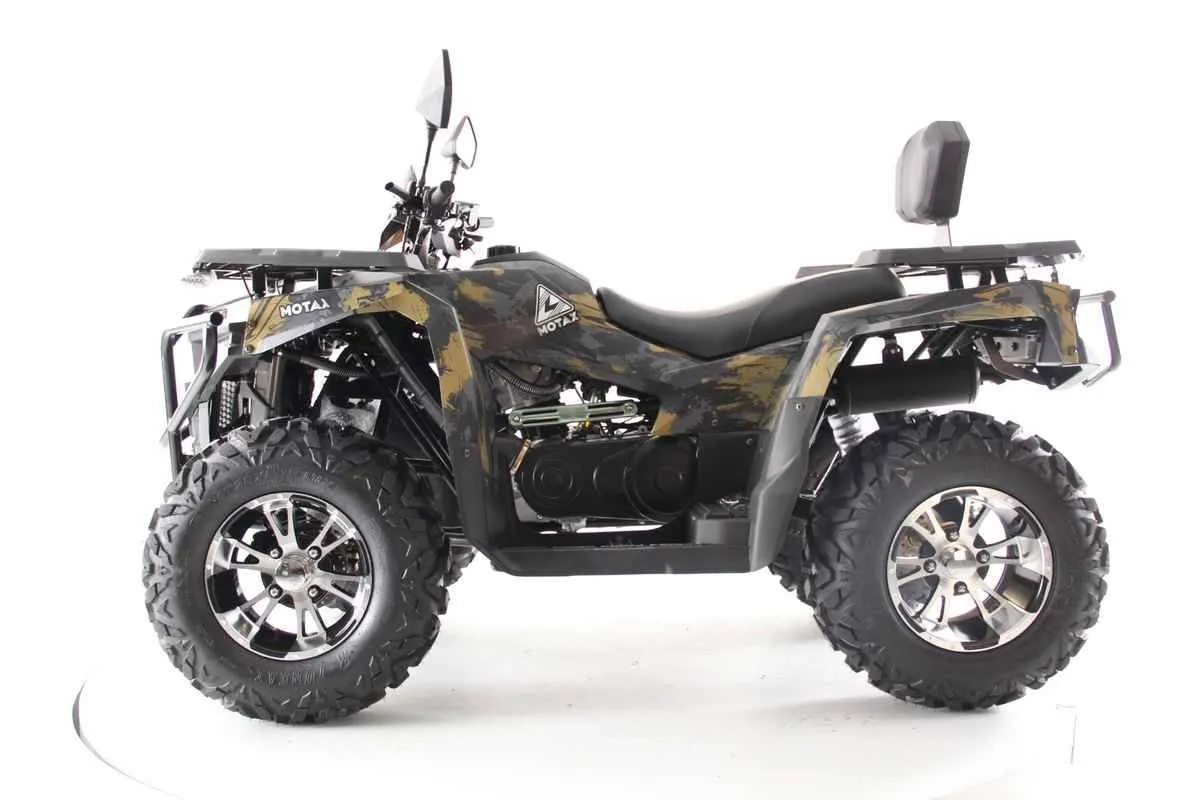 Квадроцикл Motax Grizlik 300