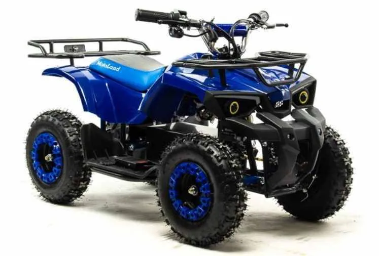 Электроквадроцикл Motoland ATV E008 800Вт
