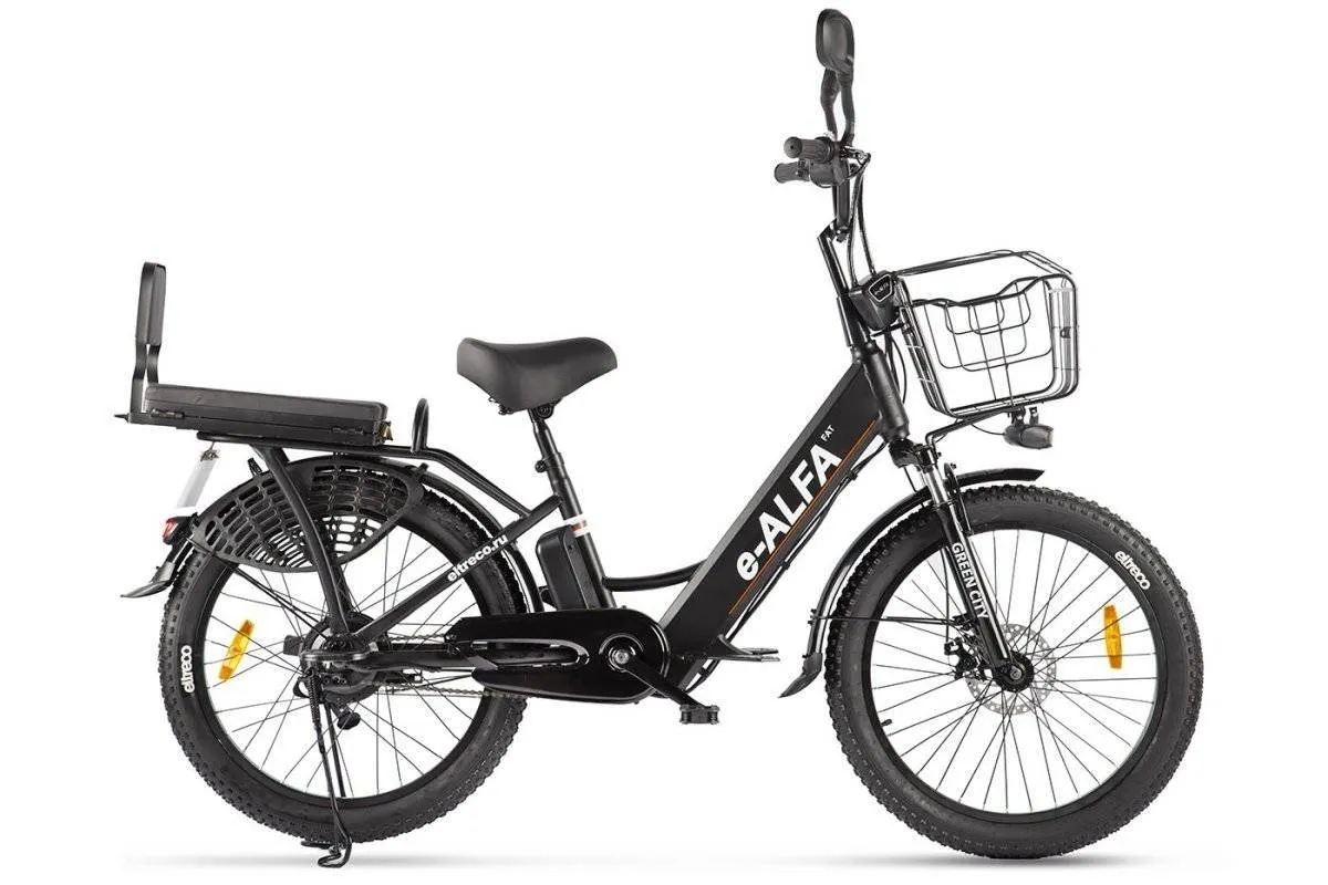 Электровелосипед Green City e-ALFA Fat