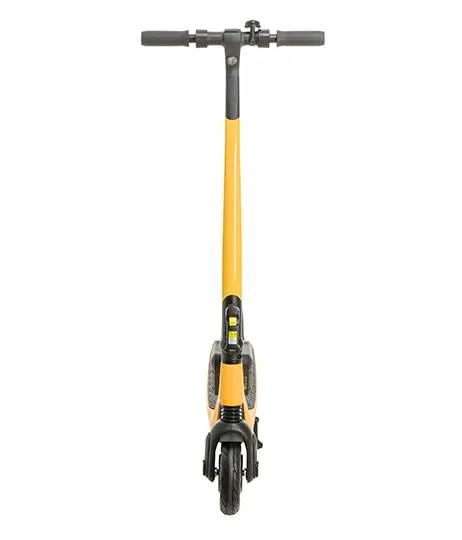 Электросамокат Carmega Indigo MAX