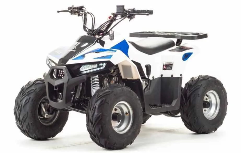 Квадроцикл Motoland 110 EAGLE (2020 г.)