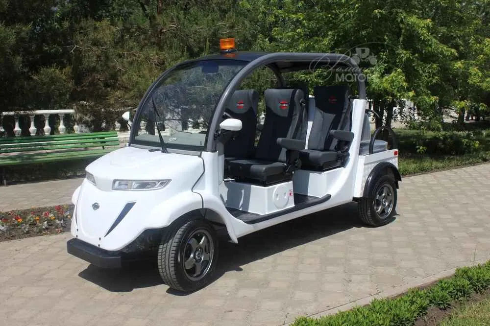 Гольфкар Elecar 5E-TIGARBO 4+2