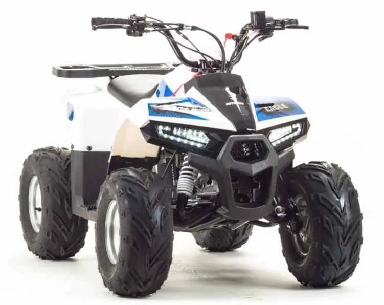 Квадроцикл Motoland 110 EAGLE (2020 г.)