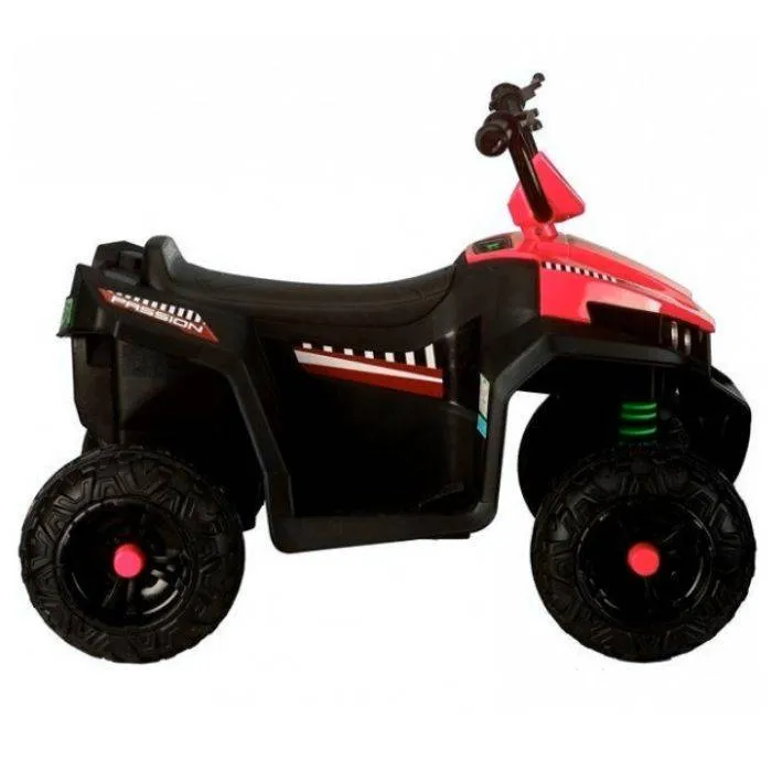 Детский электроквадроцикл Rivertoys T111TT