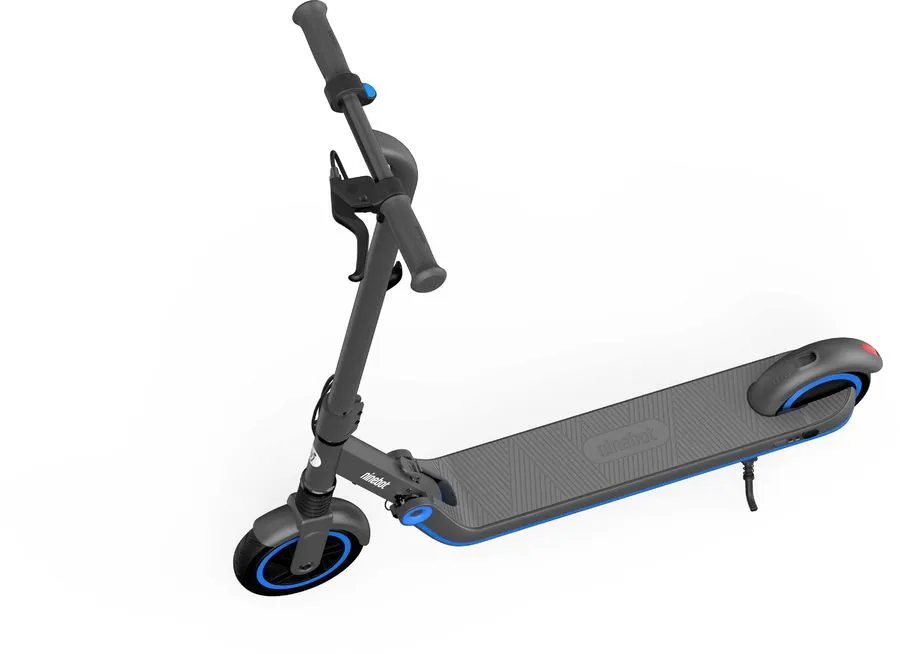 Электросамокат Ninebot eKickScooter Zing E10