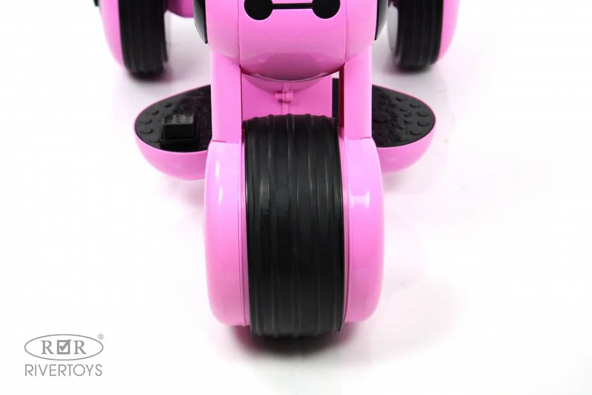 Детский электромотоцикл Rivertoys Moto HL300