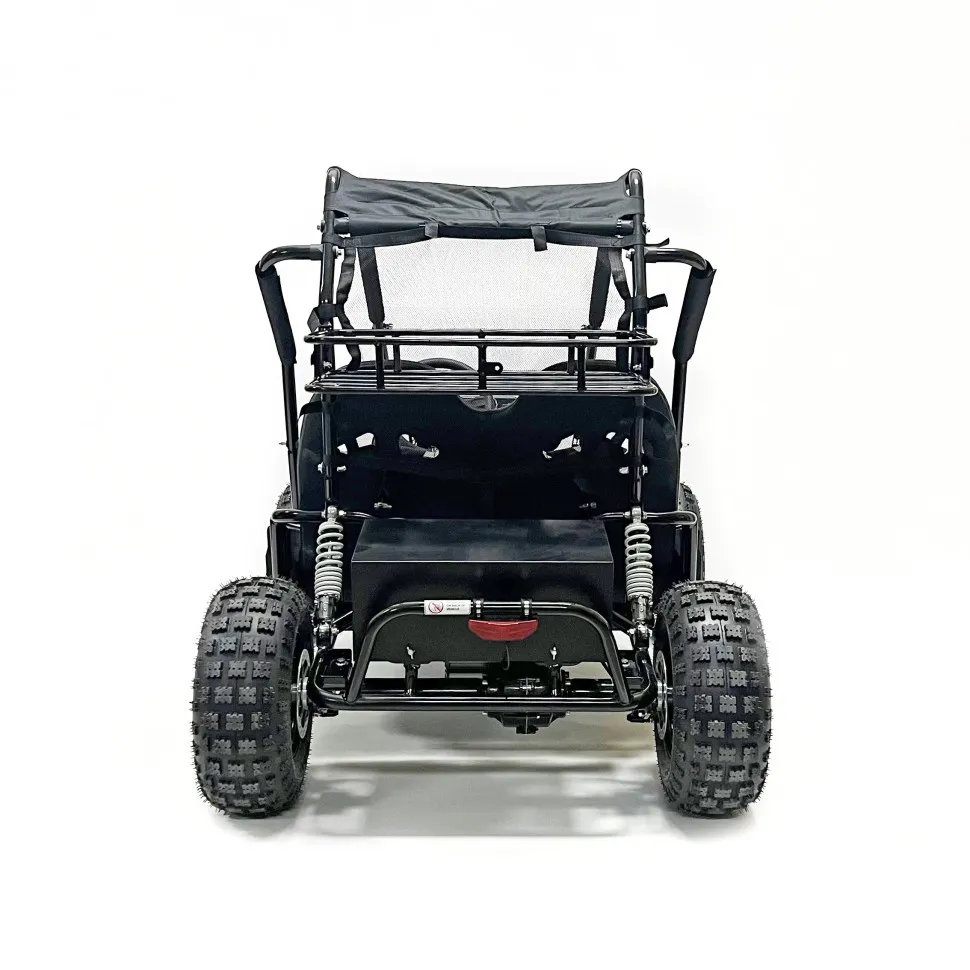 Багги Green Camel Намиб T10 (60V 2000W R8 Дифф)