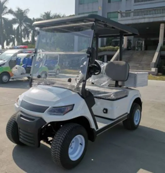 Гольфкар Green Camel A2C (2+C, 4kW AC, R10)