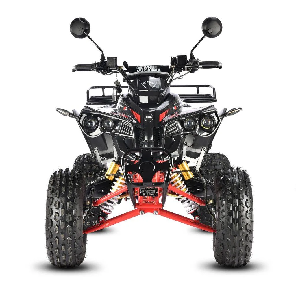 Электроквадроцикл WHITE SIBERIA SNEG Pro R 3000W