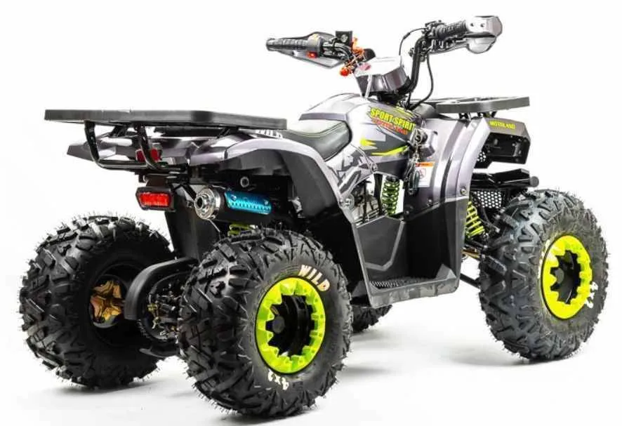 Квадроцикл Motoland 125 WILD A