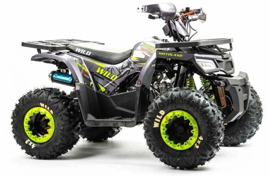 Квадроцикл Motoland 125 WILD (2020 г.)
