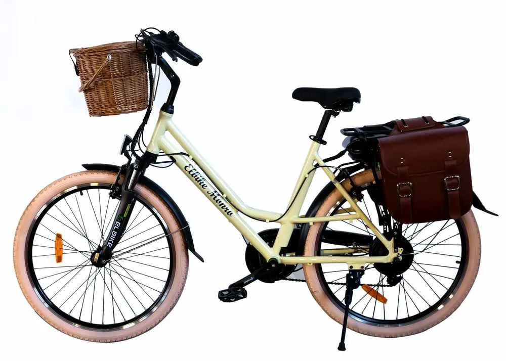 Электровелосипед Elbike Monro Vip