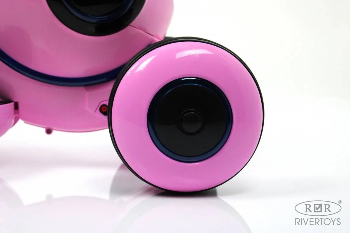 Детский электромотоцикл Rivertoys Moto HL300