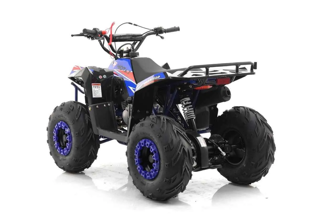 Квадроцикл MOTAX GRIZLIK A110