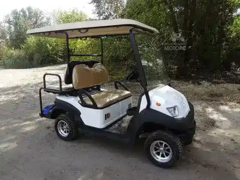 ГОЛЬФКАР Voltus CLUB 2+2