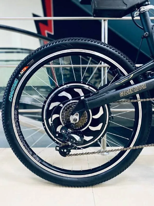 Электровелосипед E-motions Golden Motor 1000W
