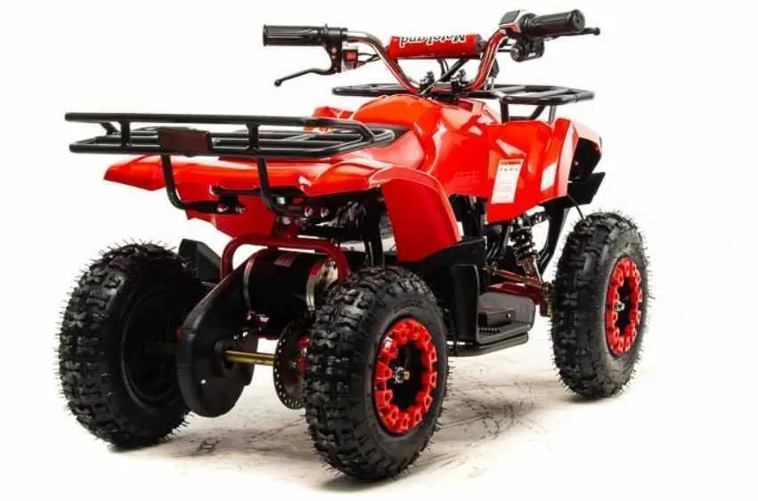 Электроквадроцикл Motoland ATV E009 1000W