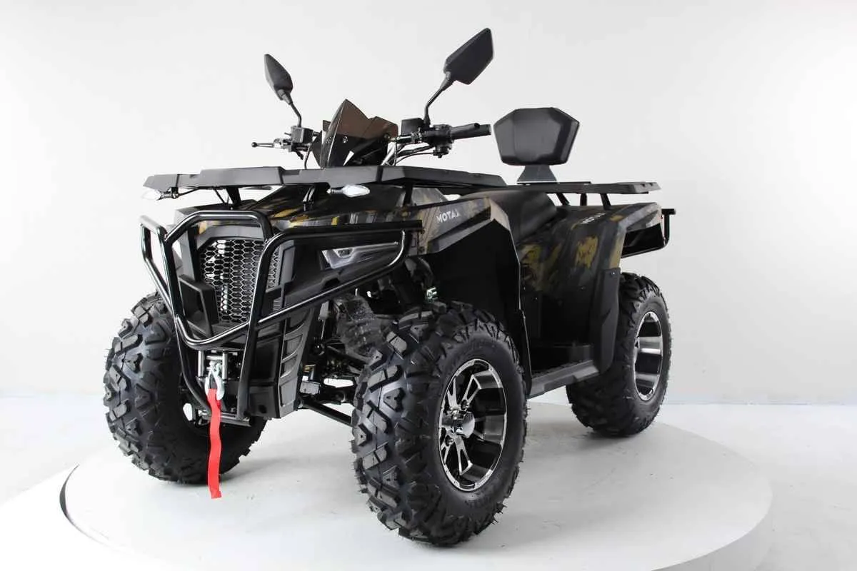Квадроцикл Motax Grizlik 300