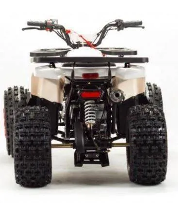 Квадроцикл Motoland 125 WILD (2020 г.)