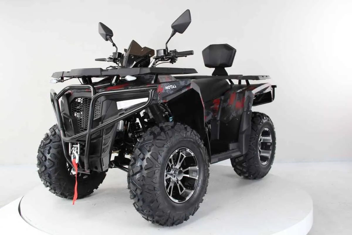 Квадроцикл Motax Grizlik 300